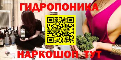 мдпв Будённовск