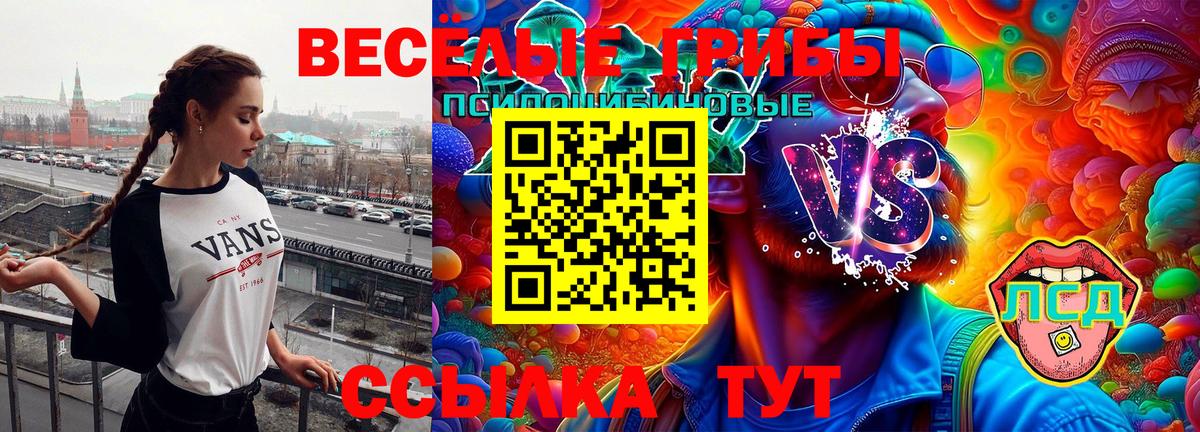 Галлюциногенные грибы ЛСД  Вход с VPN  Моздок 